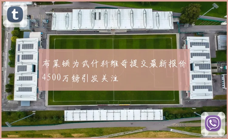 布莱顿为武什科维奇提交最新报价4500万镑引发关注