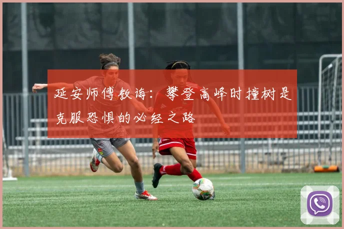 延安师傅教诲：攀登高峰时撞树是克服恐惧的必经之路
