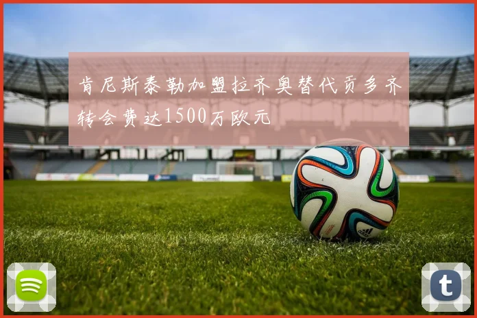 肯尼斯泰勒加盟拉齐奥替代贡多齐转会费达1500万欧元